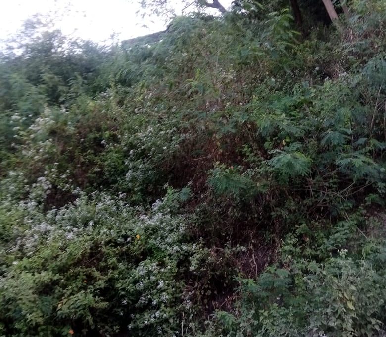 WhatsApp Image 2026-07-05 at 17.58.50 (2)